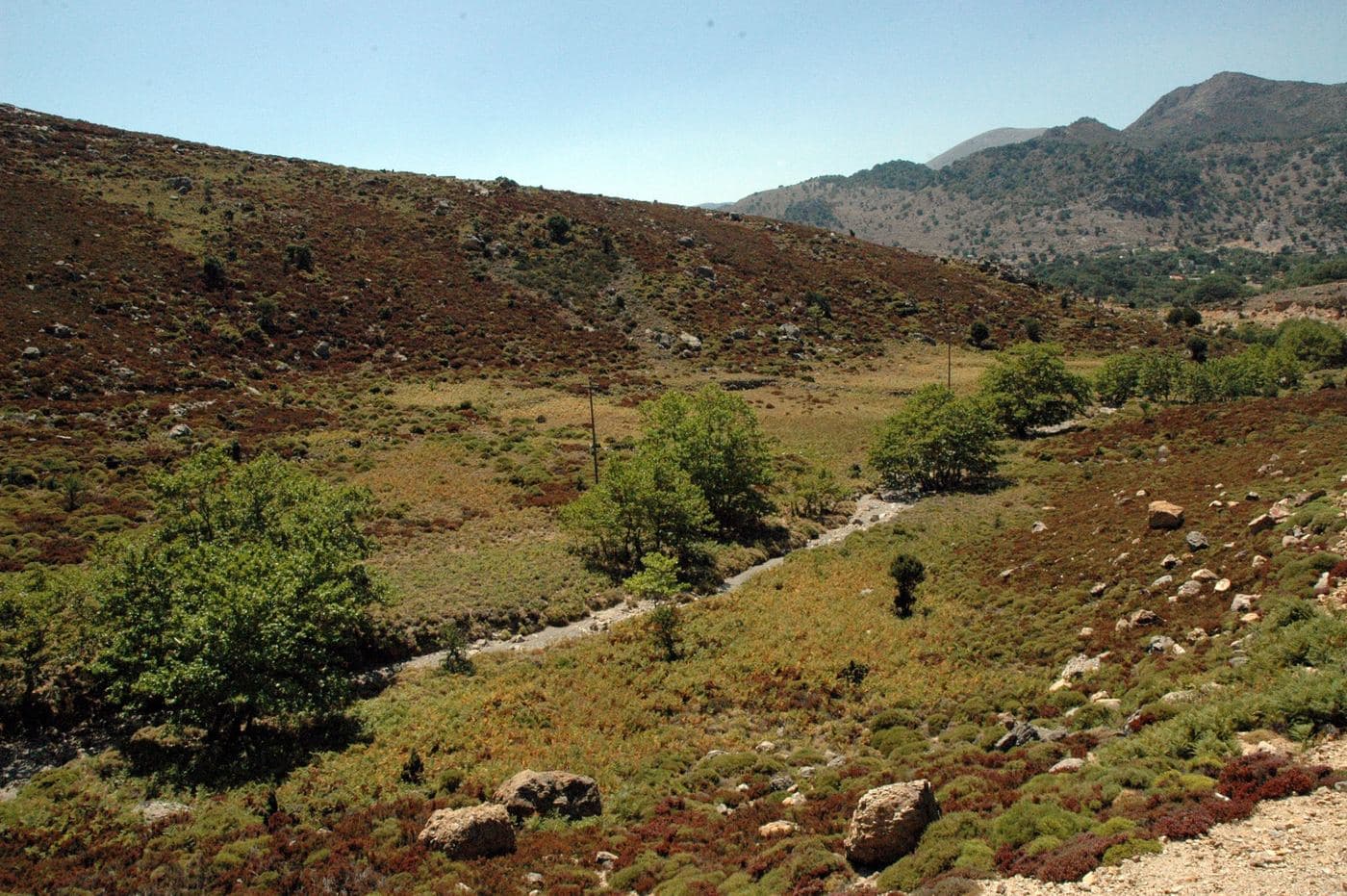 Kallikratis Plateau 3