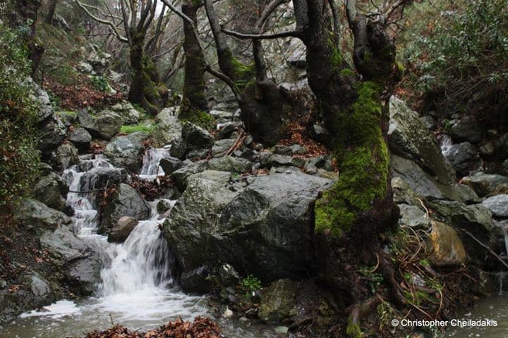 Karines Gorge 3
