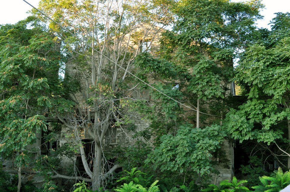 Kastrinakis Flour Mill 2