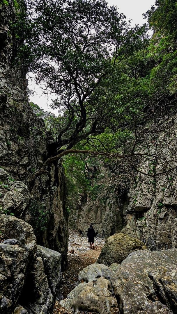 Vilandredo Gorge (Kollita) 2