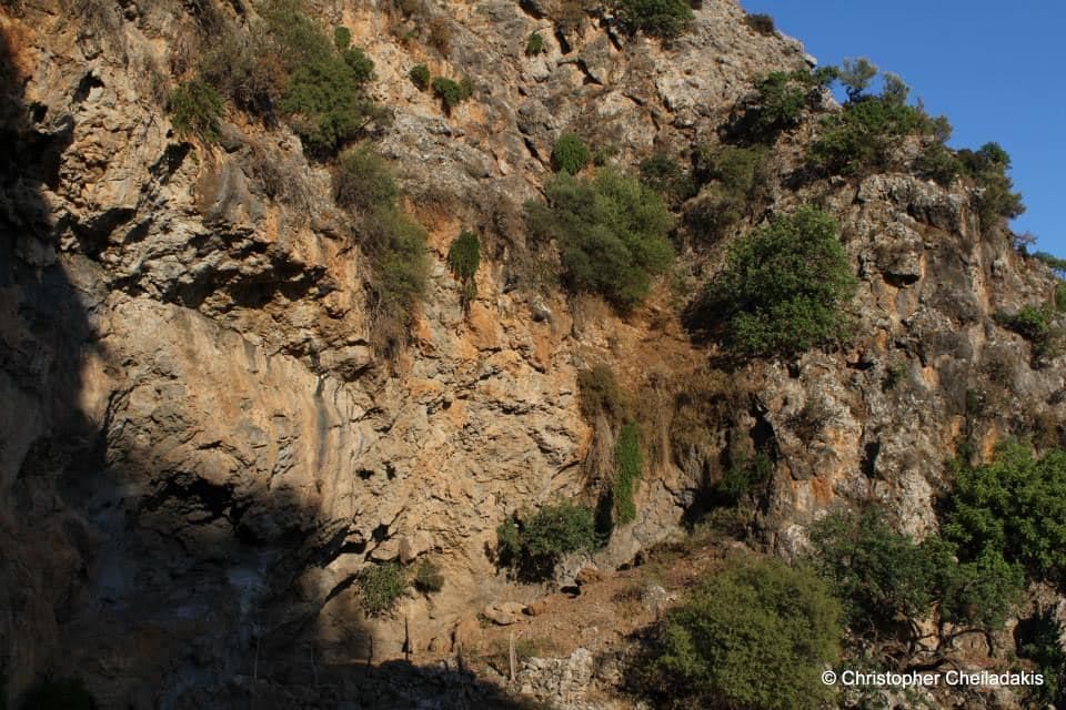 Rechta Gorge at Kolokasia 3