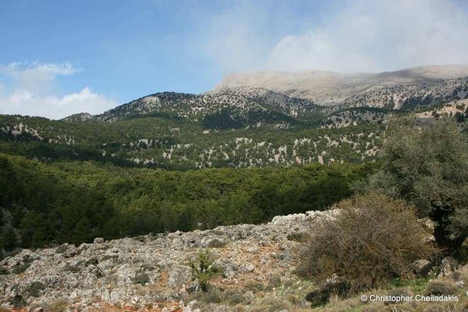 Kormokopos Wood and Trail