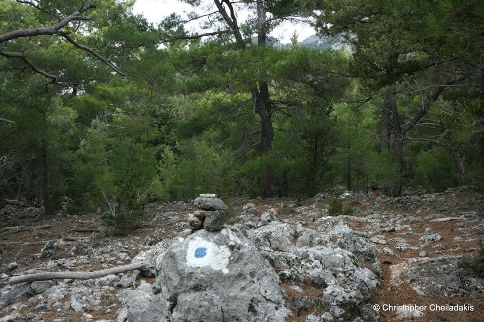 Kormokopos Wood and Trail 3