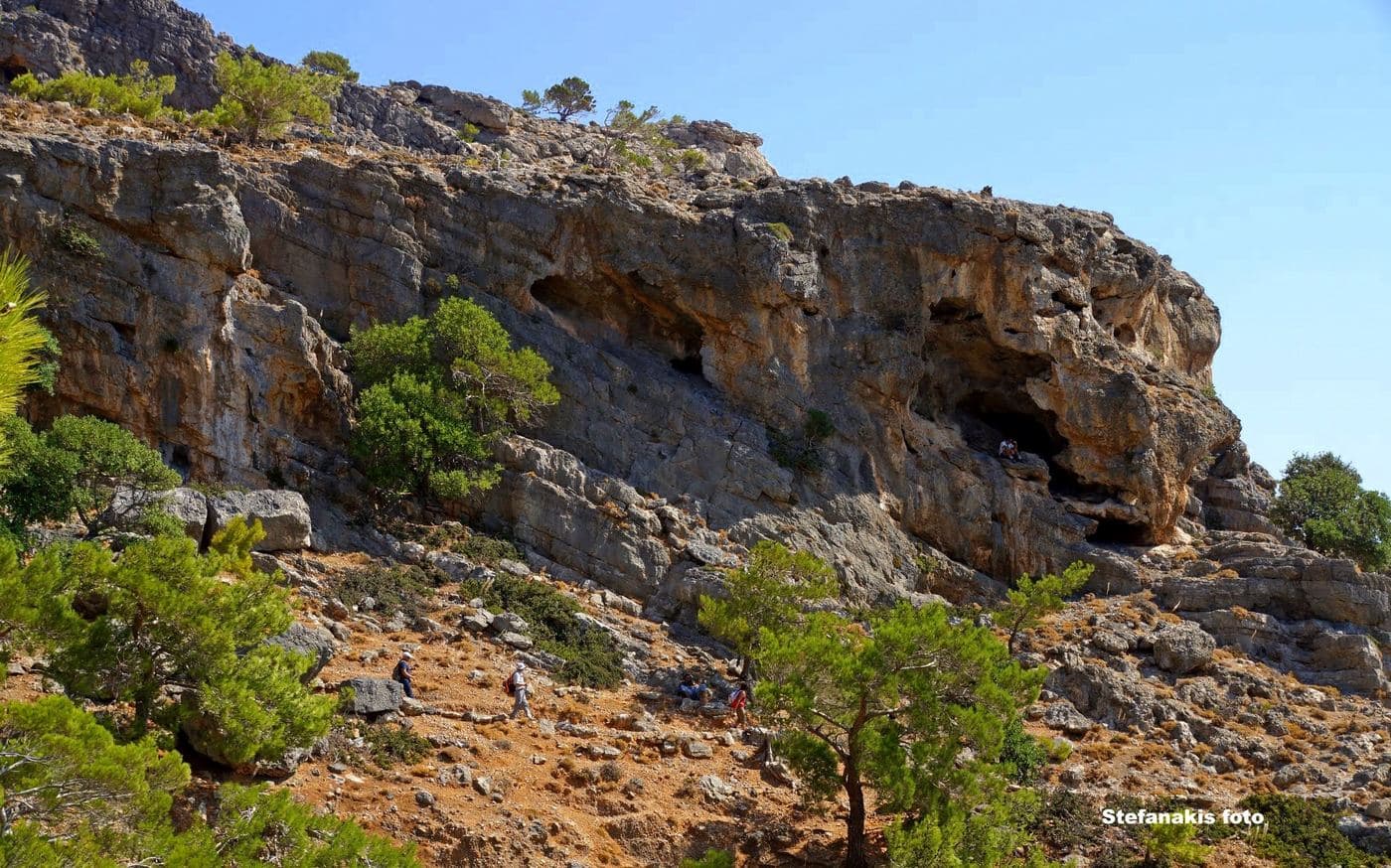 Koudoumas Wood 2