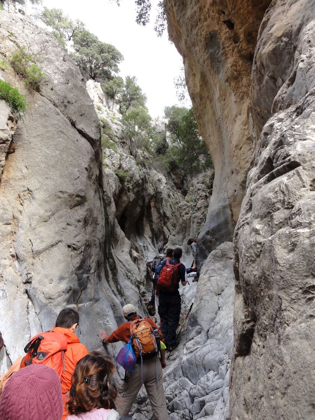 Kritsa Gorge