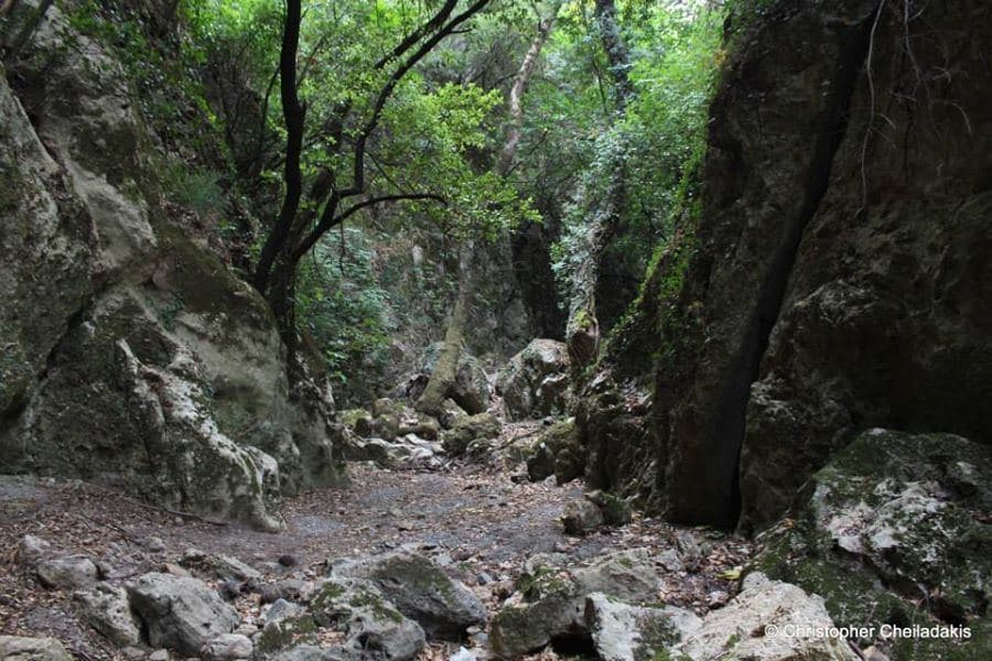 Kydoni Gorge at Karanou 3