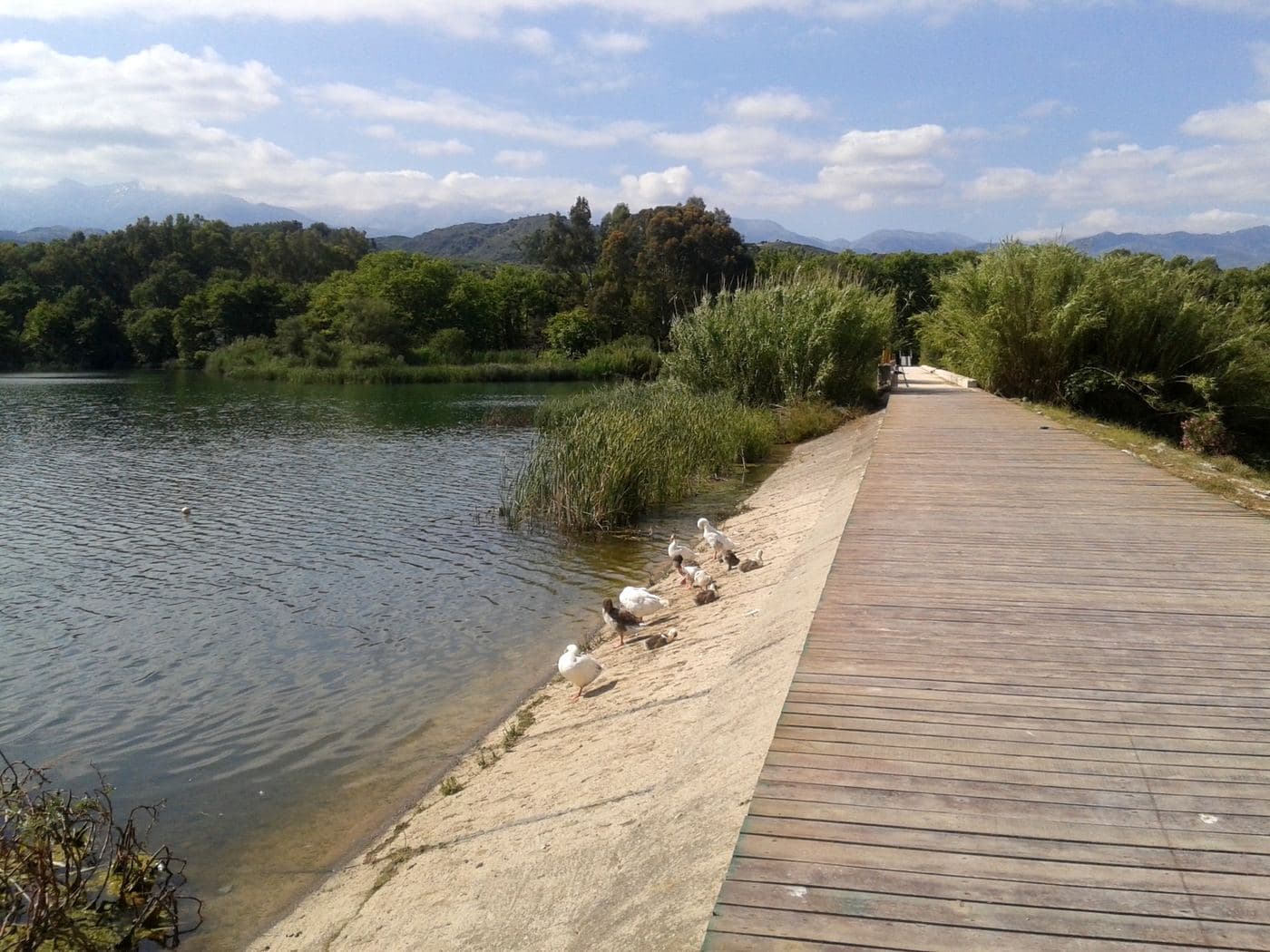 Lake Ayia