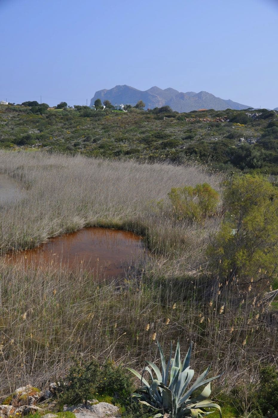 Lake Maherida 3