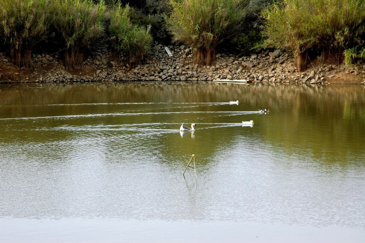 Ligaras Lake (Mochos)