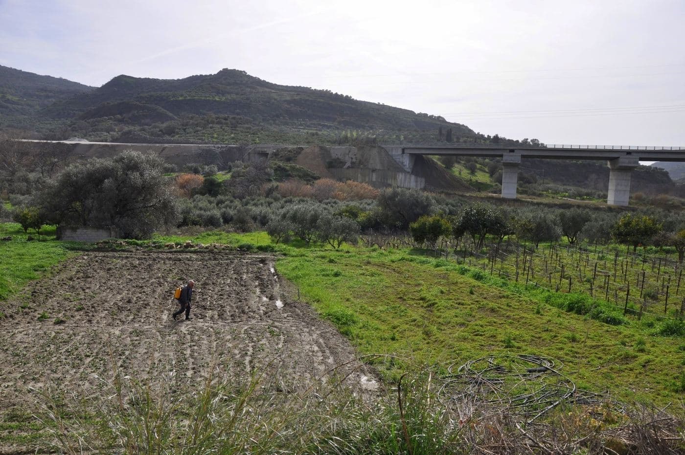Litheos River