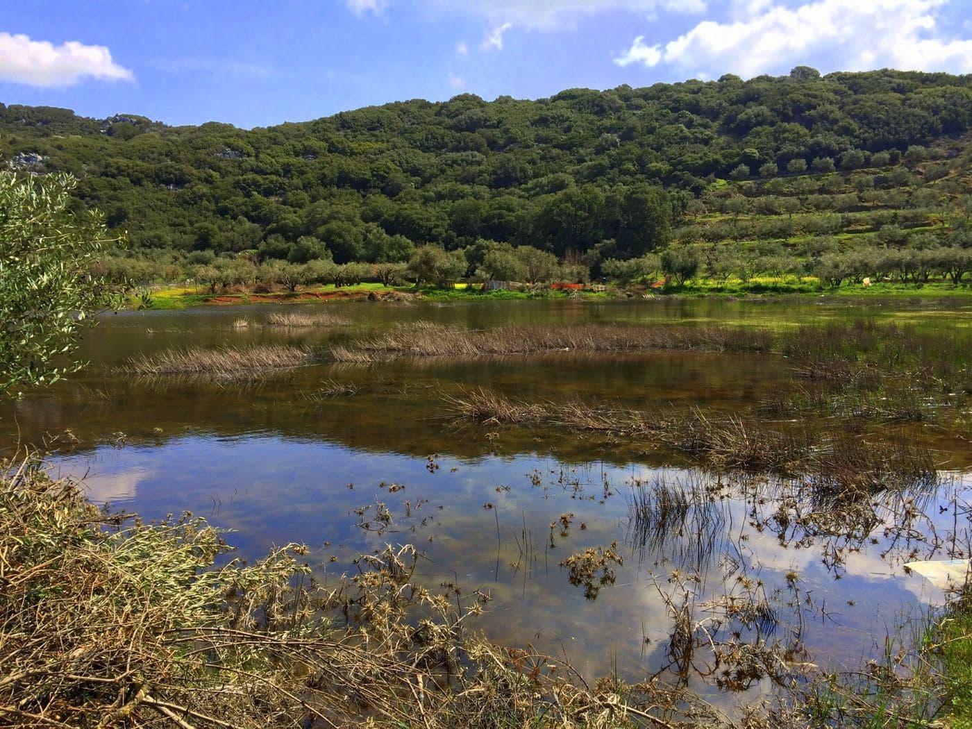 Parakalouri Lake 2