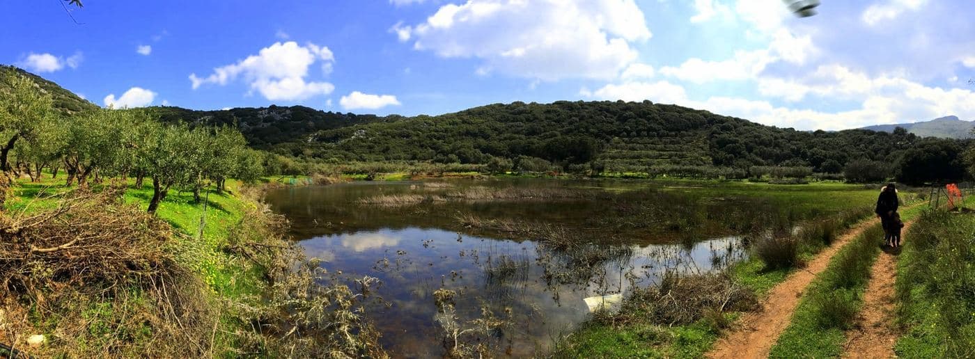 Parakalouri Lake 3