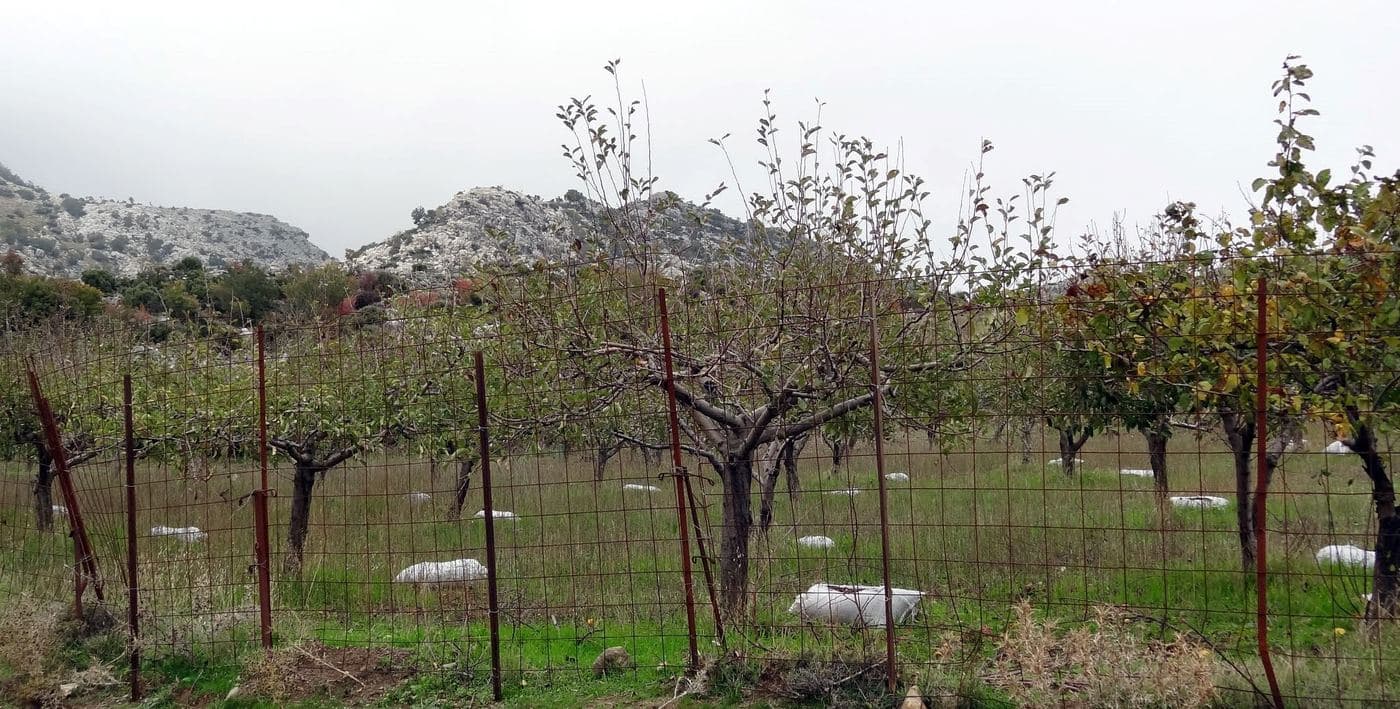 Livadi Plateau at Kroussonas 3