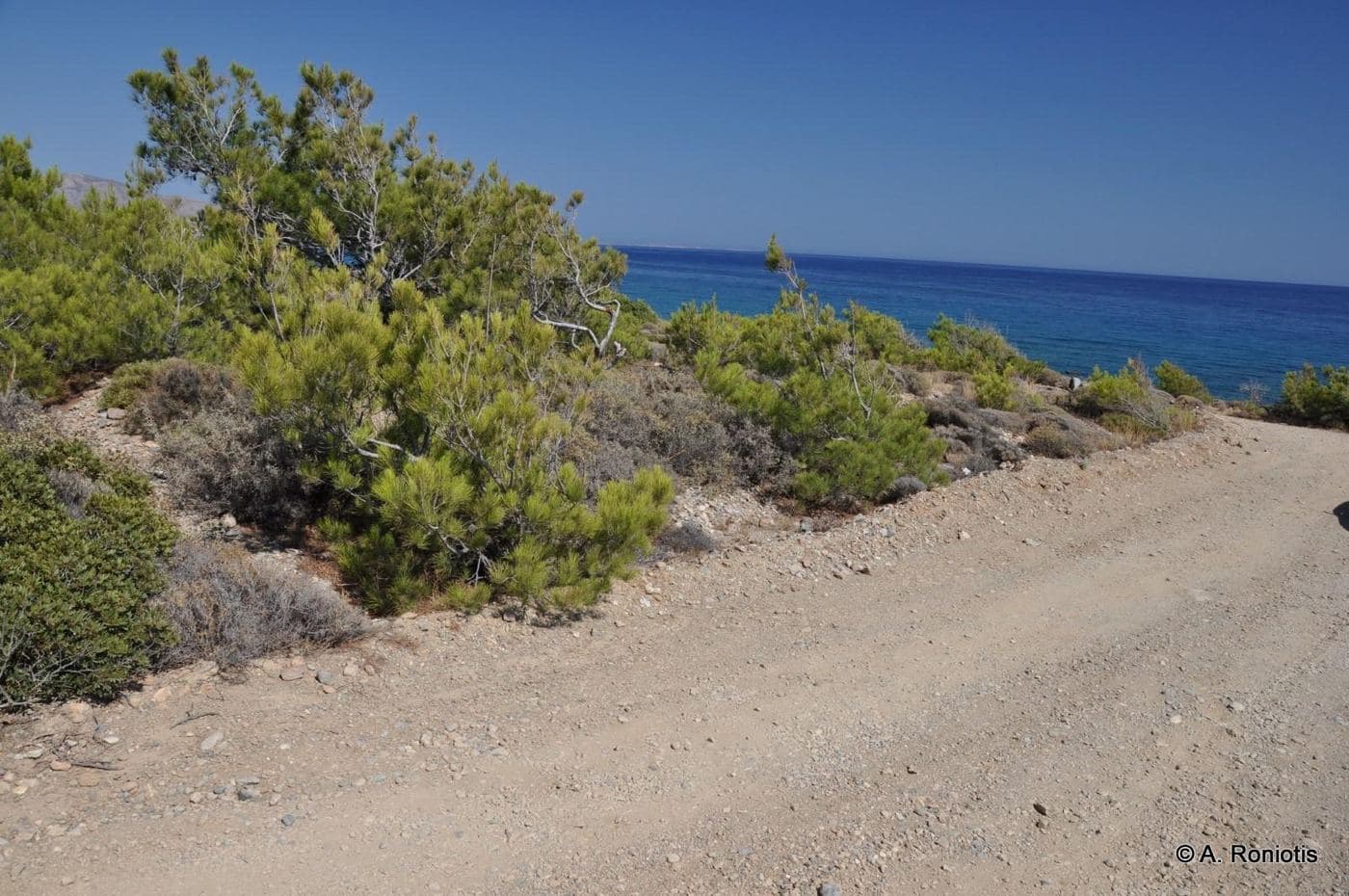 Maheridia beaches 2