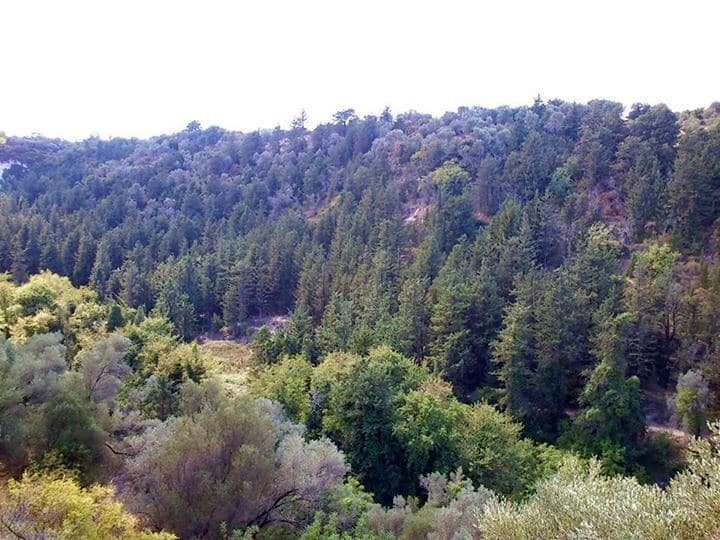 Margarites Gorge 2