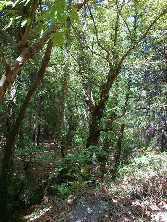 Margarites Gorge 3