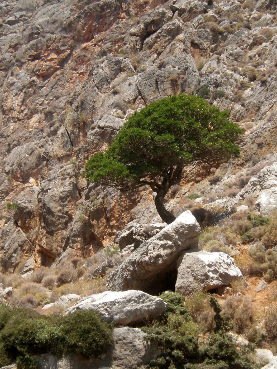 Maza Gorge 3