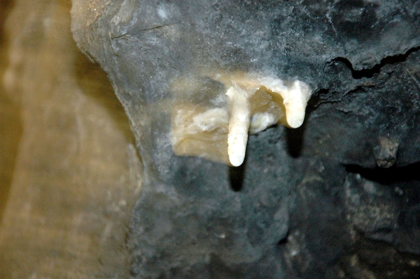 Melidoni Cave 2