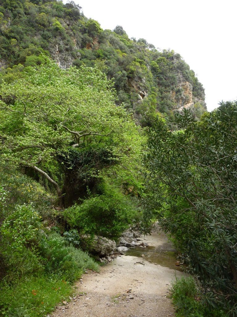 Mesavlia - Deliana Gorge