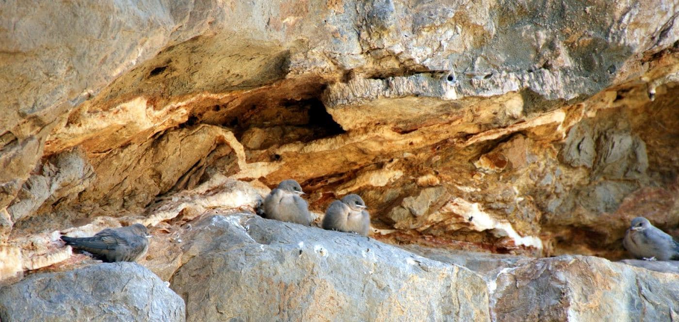 Milatos Cave
