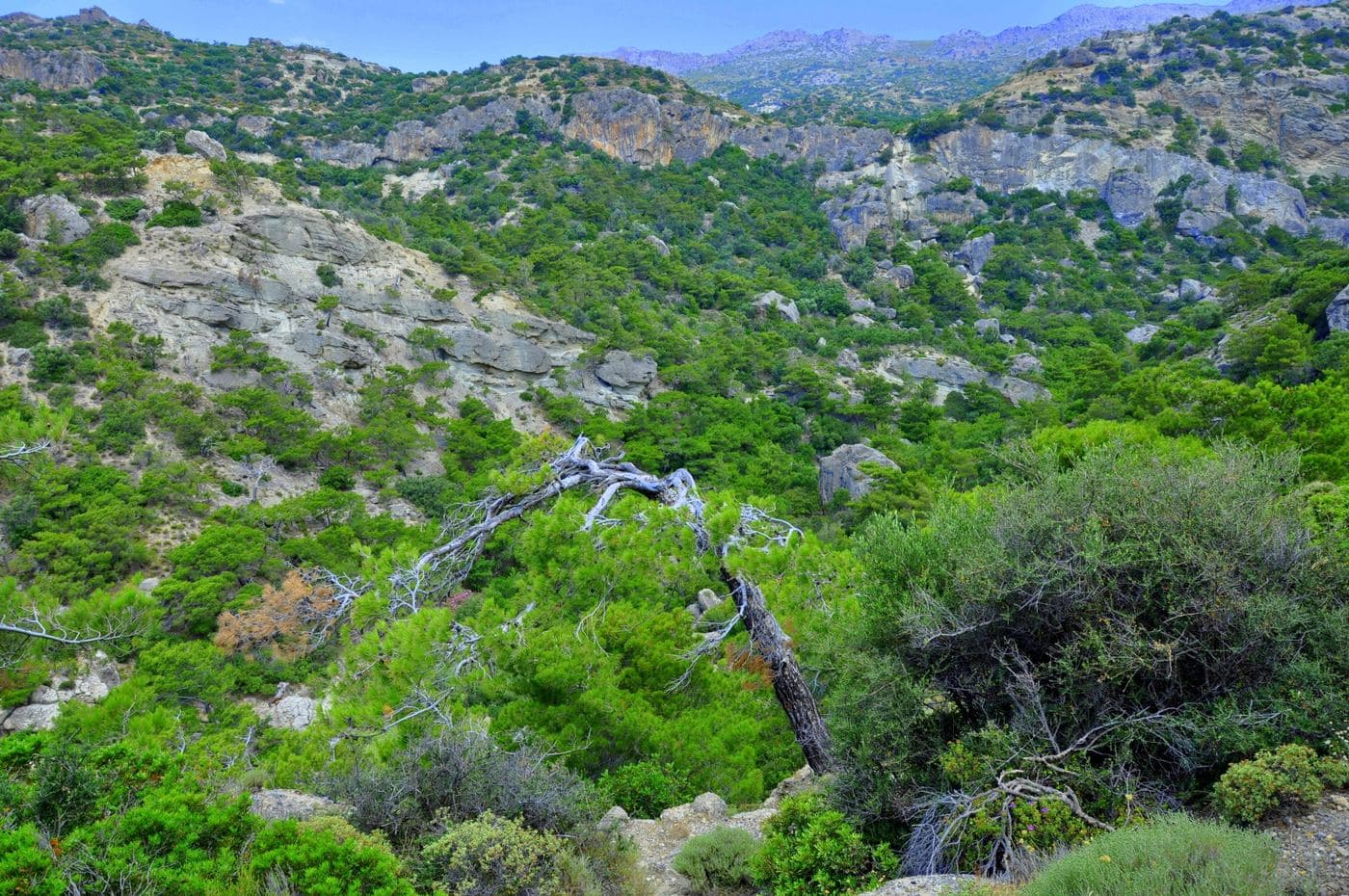 Milonas Waterfall and Gorge