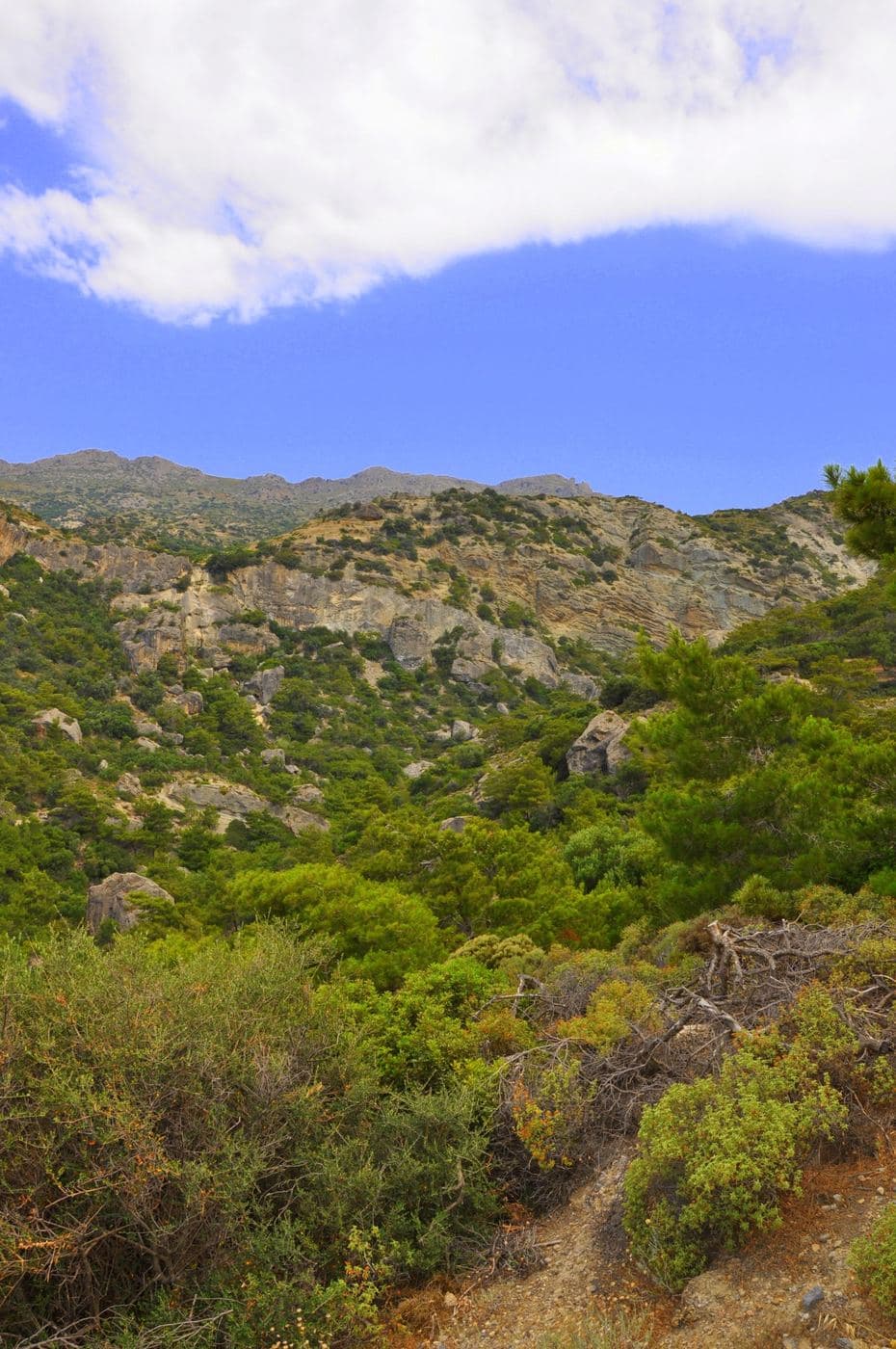 Milonas Waterfall and Gorge 2