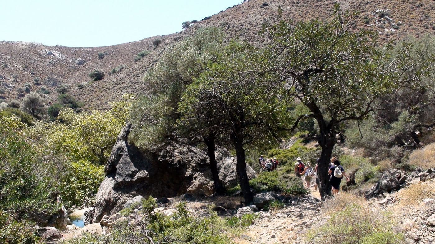 Mindris Gorge