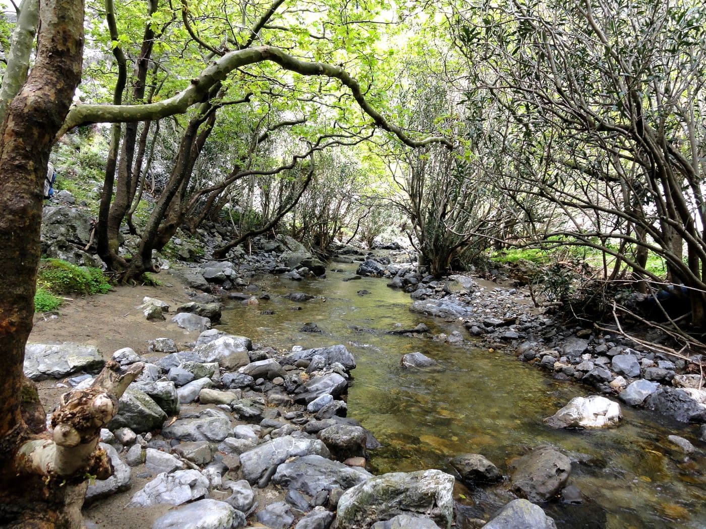 Moundros Gorge (Kollita) 3