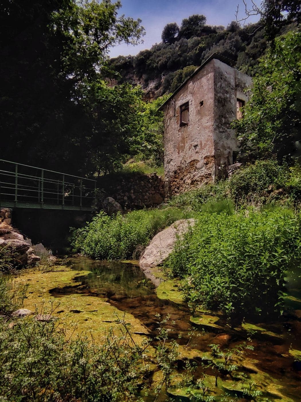 Myli Gorge 3
