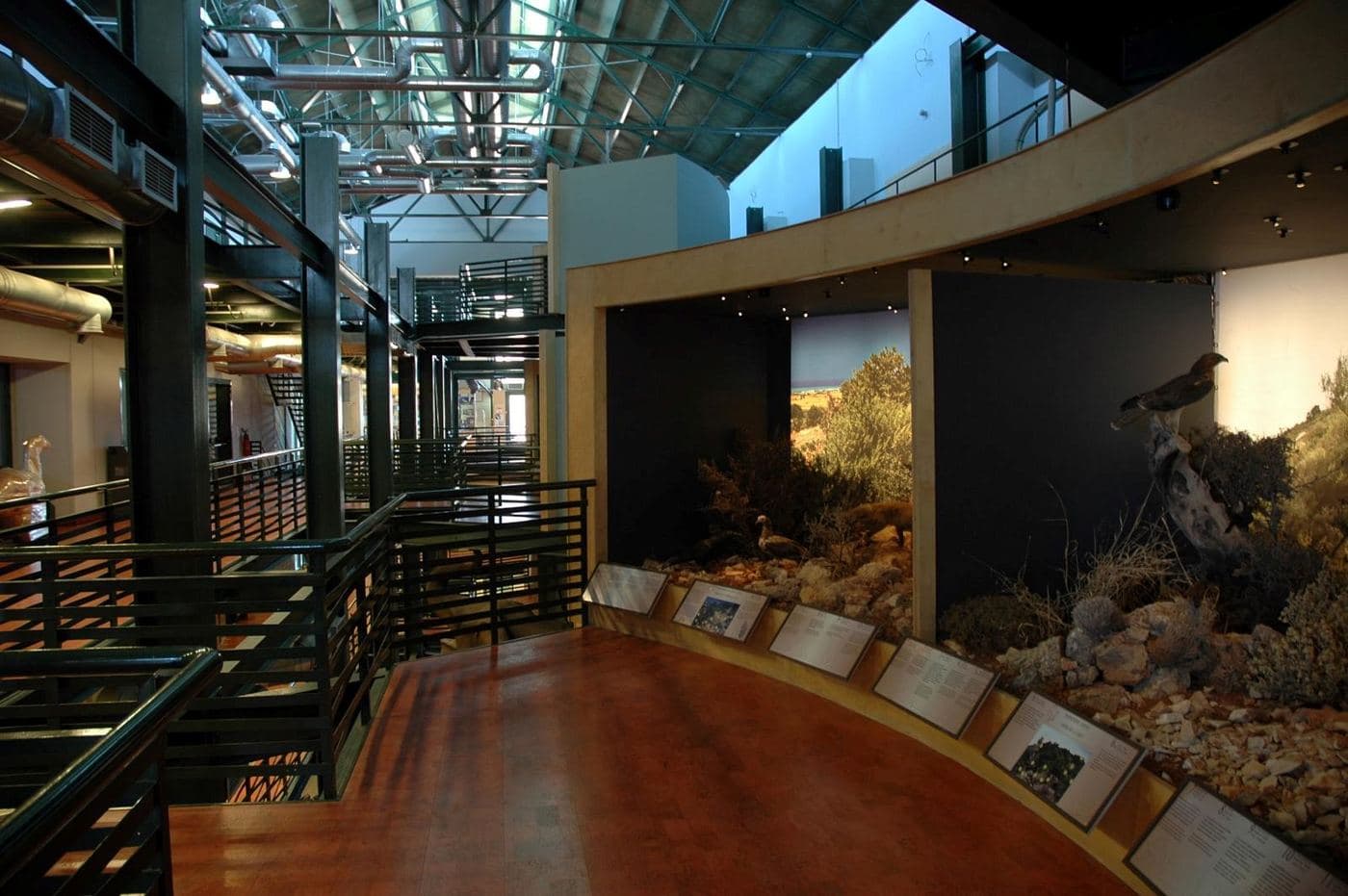 Natural History Museum of Crete 2