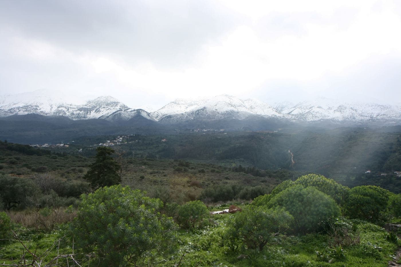 Nio Chorio Koules 2