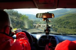 North Agios Nikitas