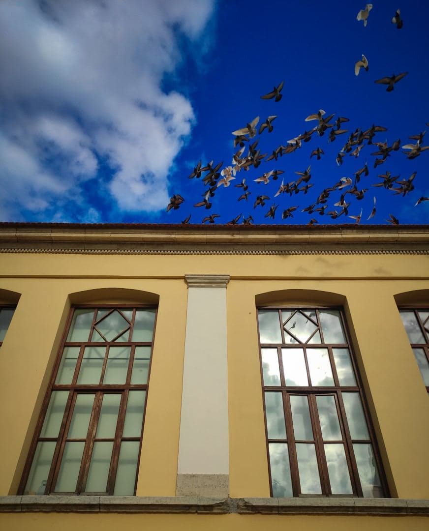 Old Primary School of Archanes