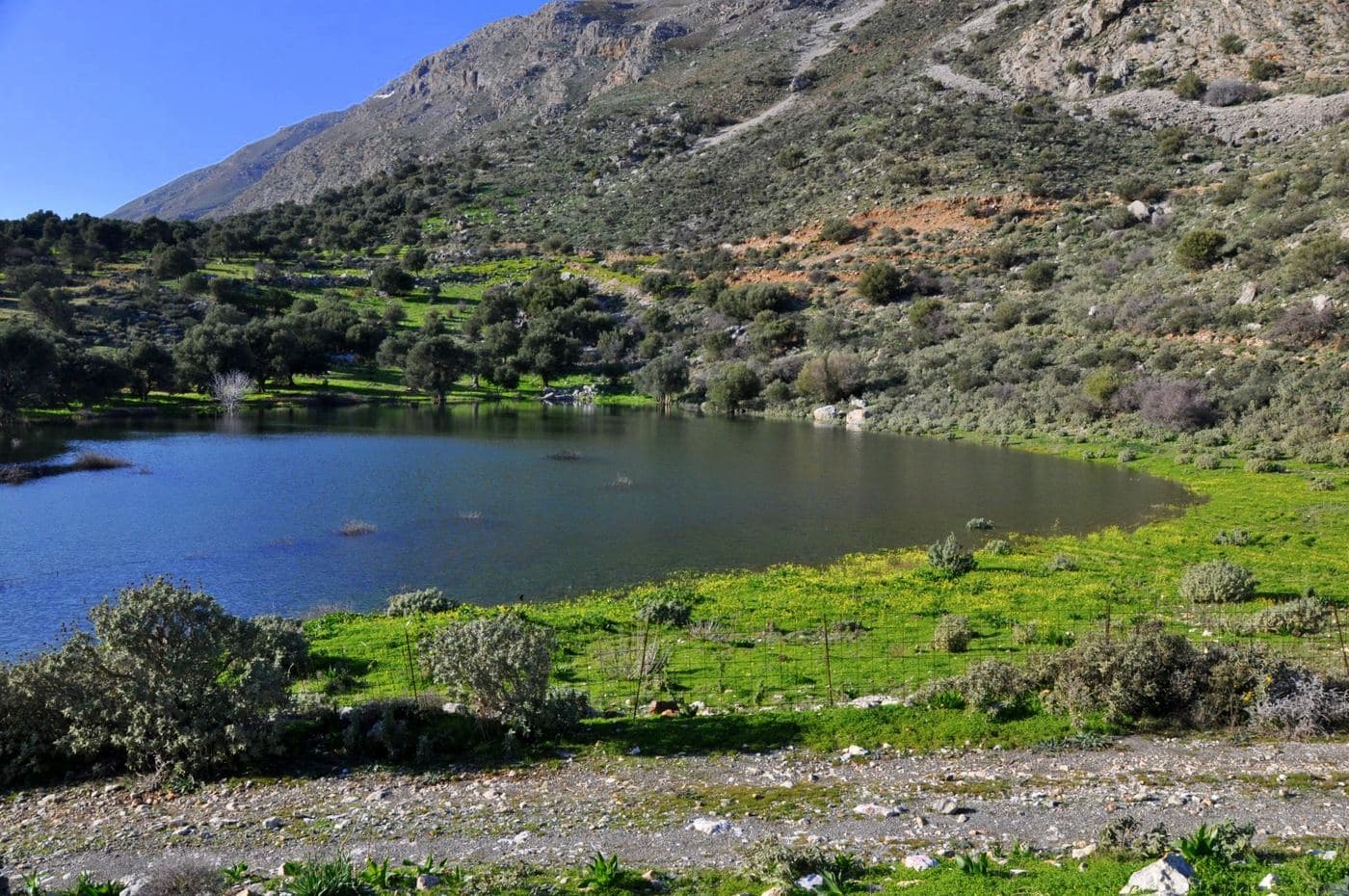 Orne Pond 2