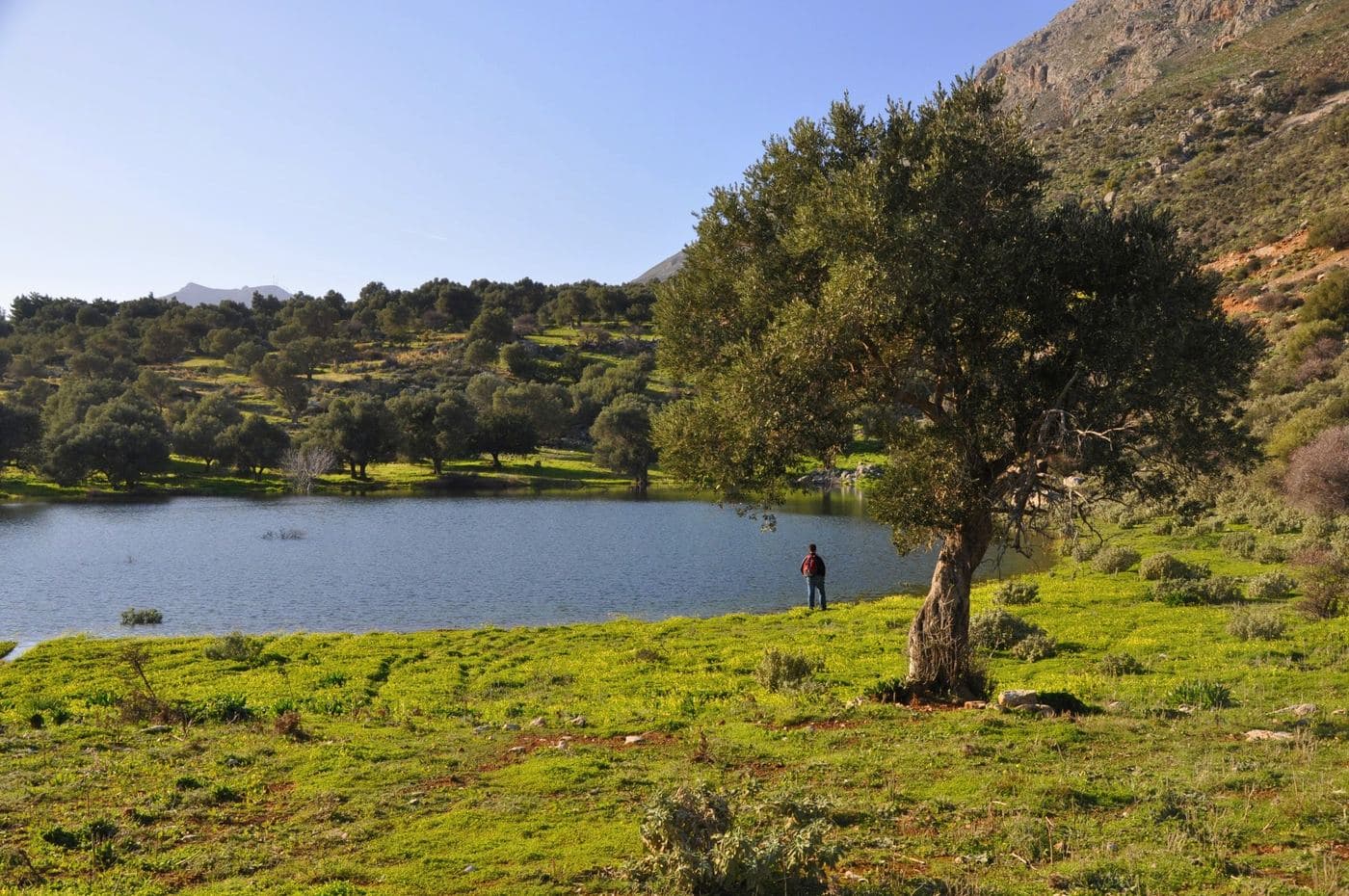 Orne Pond 3