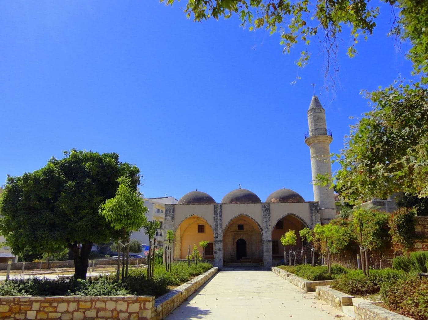 Paleontological Museum of Rethymnon - Goulandris 2