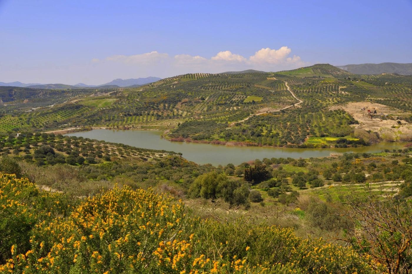 Partira Dam Lake 2