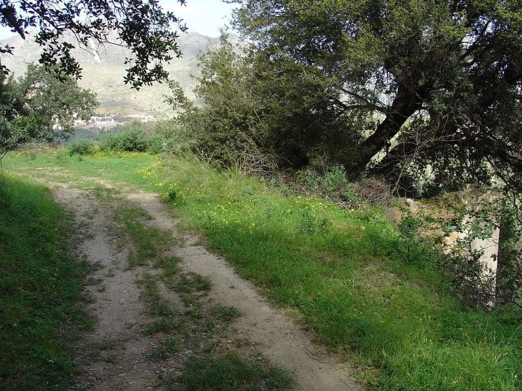 Pashaligo Grove 2