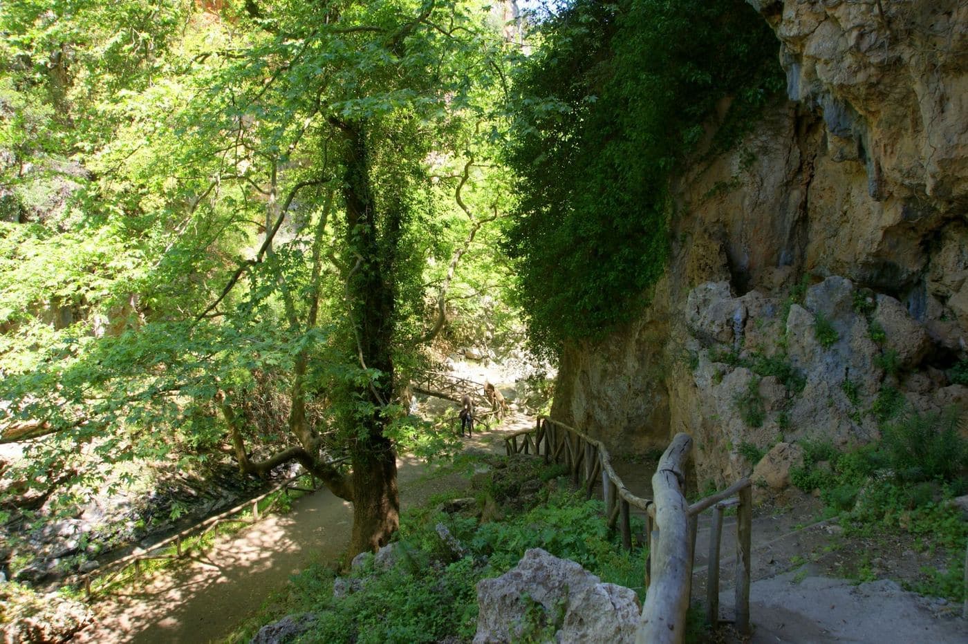Agios Antonios Gorge at Patsos 2