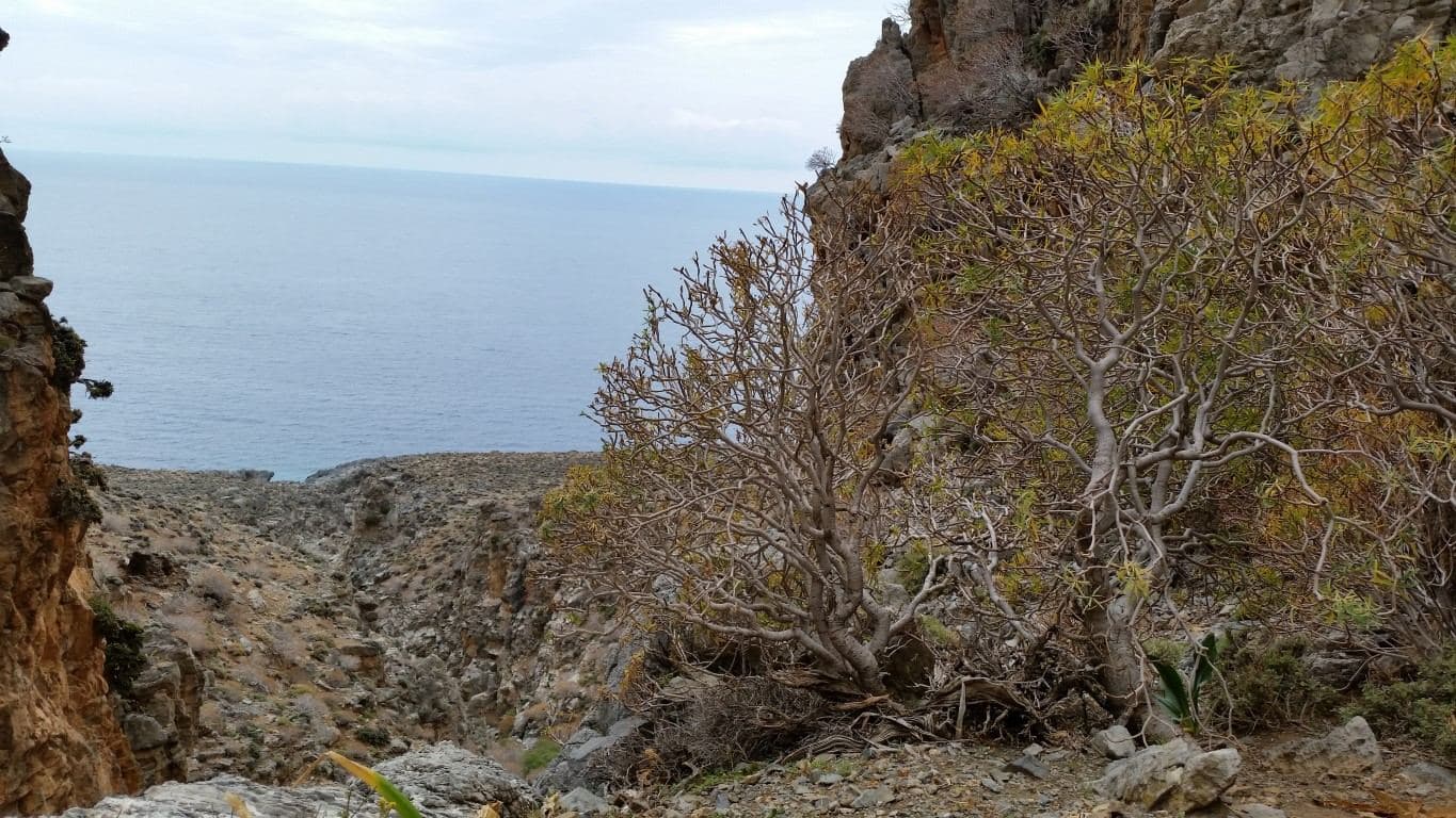 Petrigiari Gorge