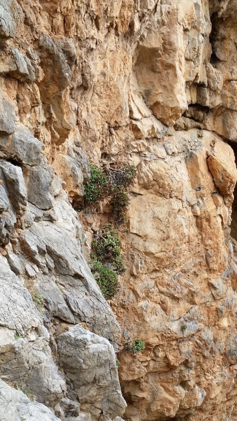 Petrigiari Gorge 3