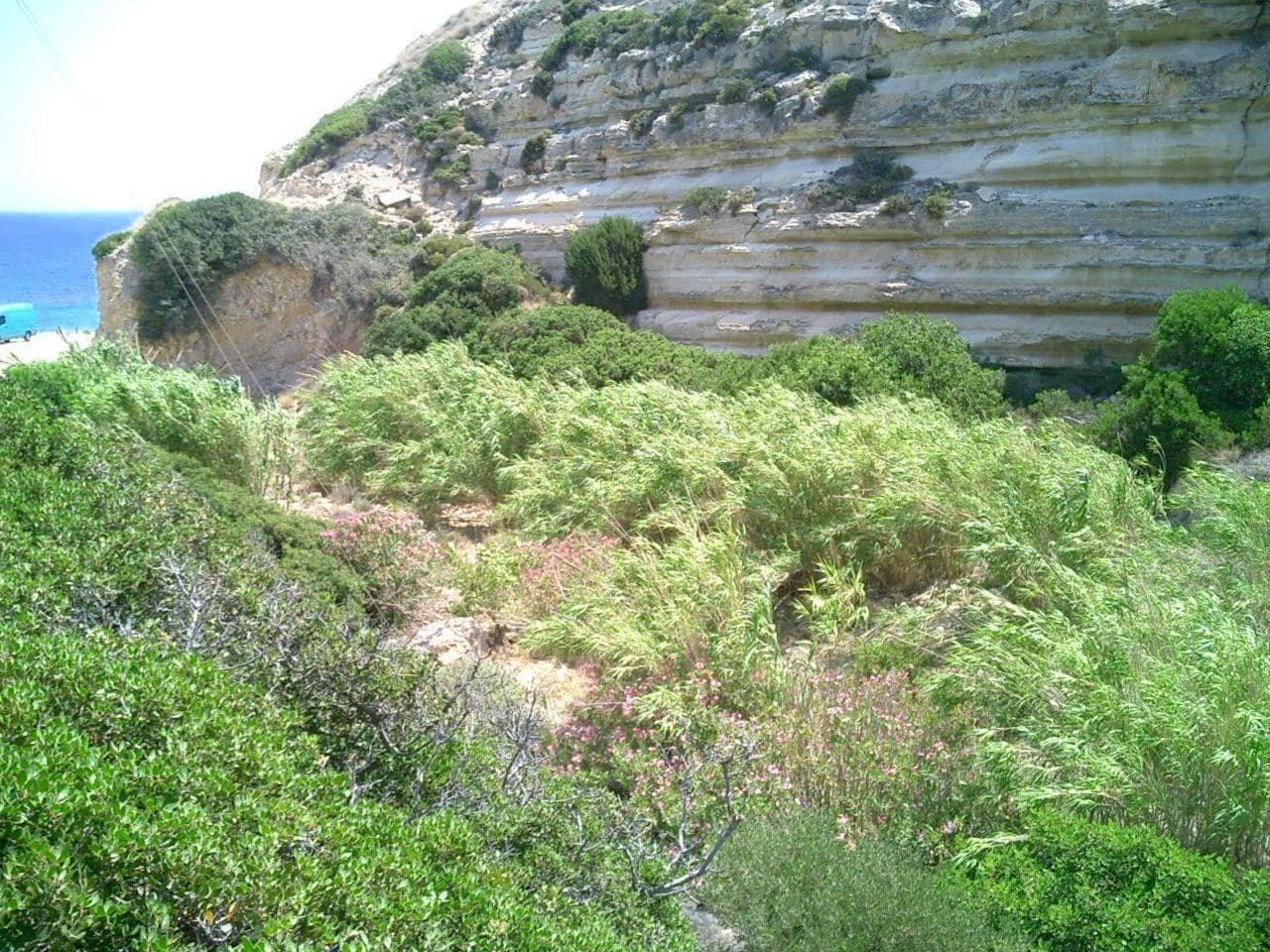 Platani beach