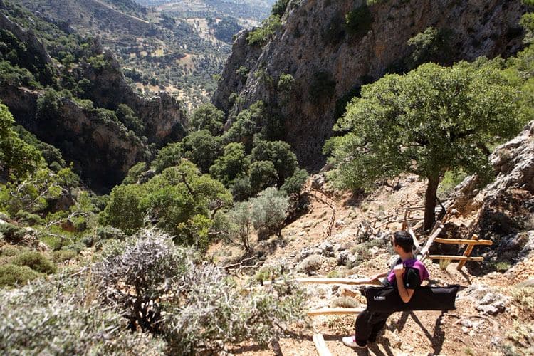 Platania Gorge