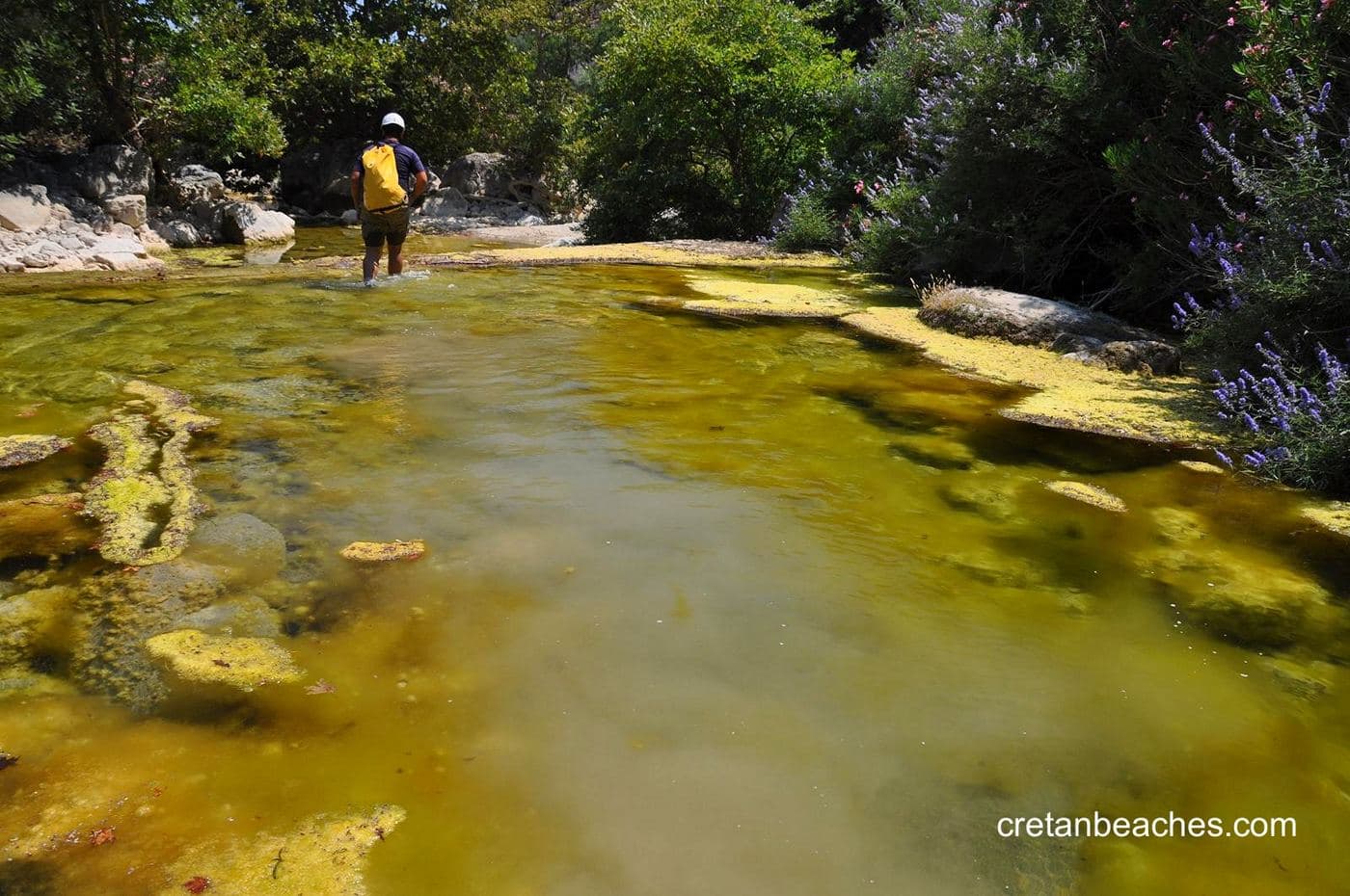 Platys River 2