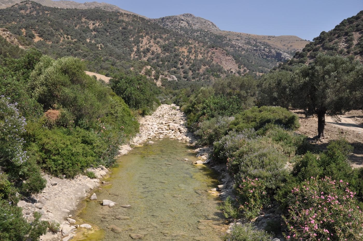Platys River bridge 2