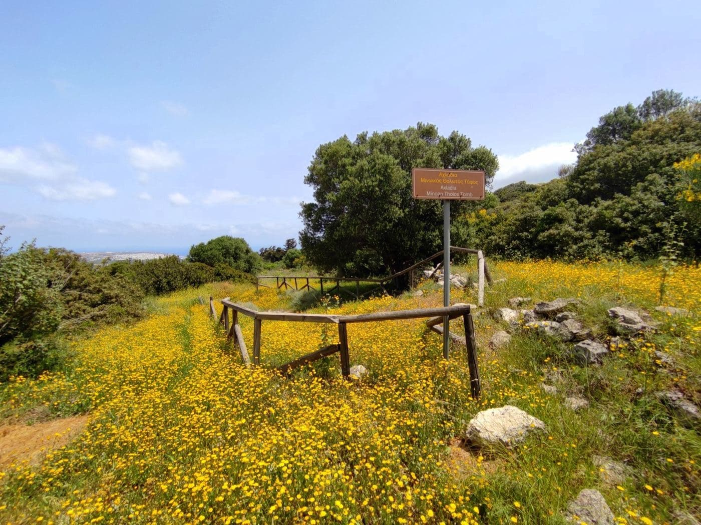 Platyskinos Domed tomb 2