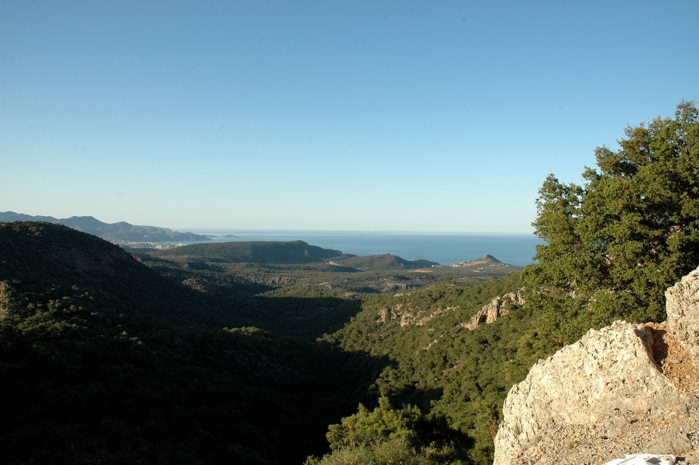 Prina pinewood 3