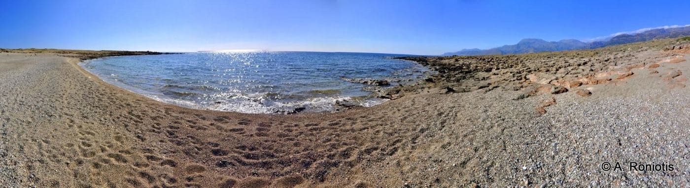 Psalidia beach 3