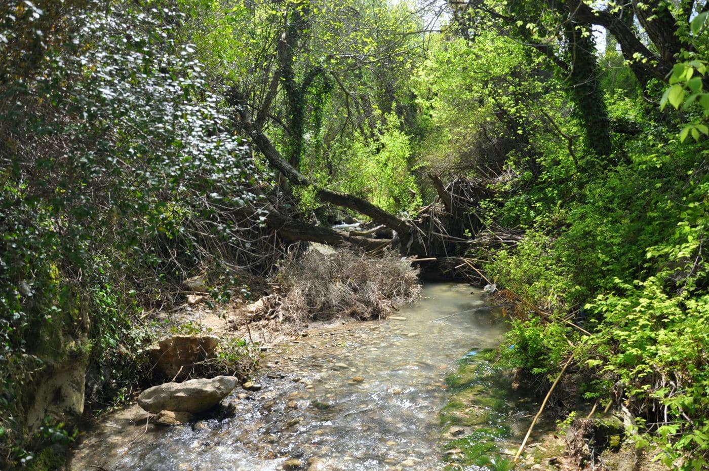 River Gazanos