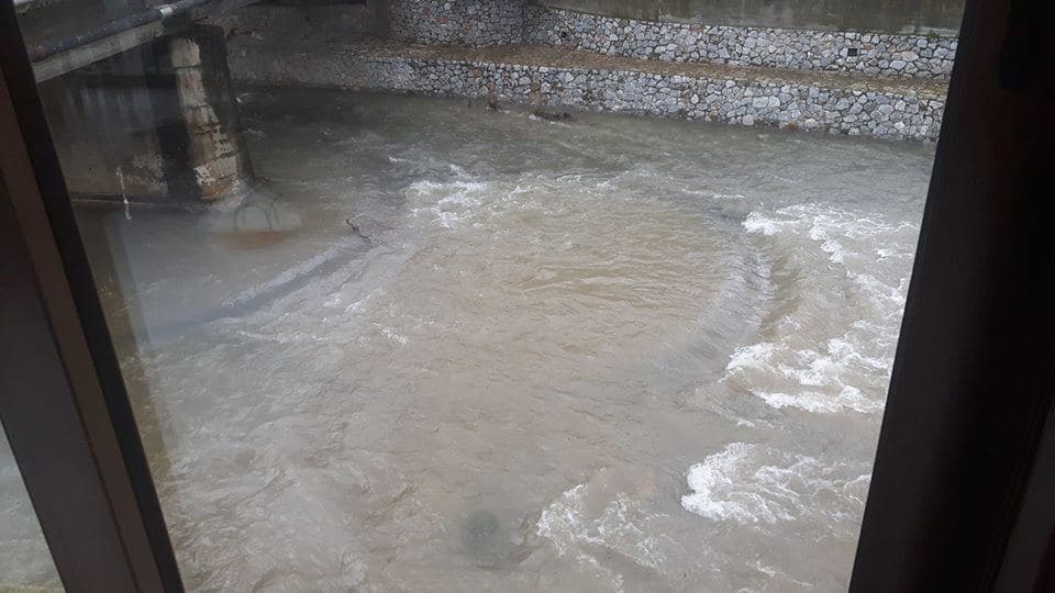 River Boutakas 2